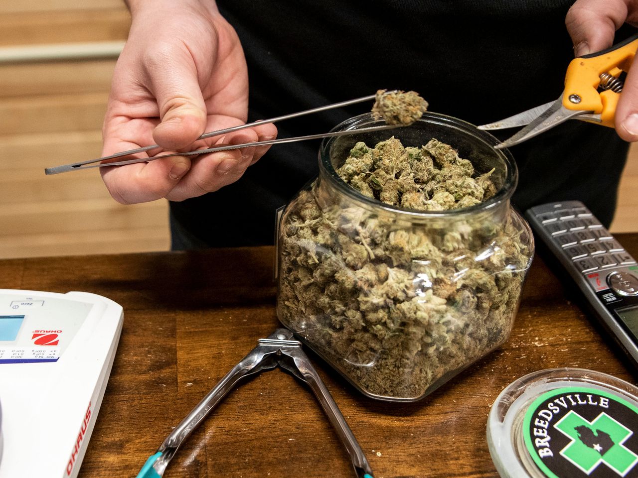 Is Medical Marijuana Safe? Benefits, Risks, and Side Effects