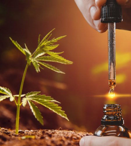 CBD Oil for Mental Health1